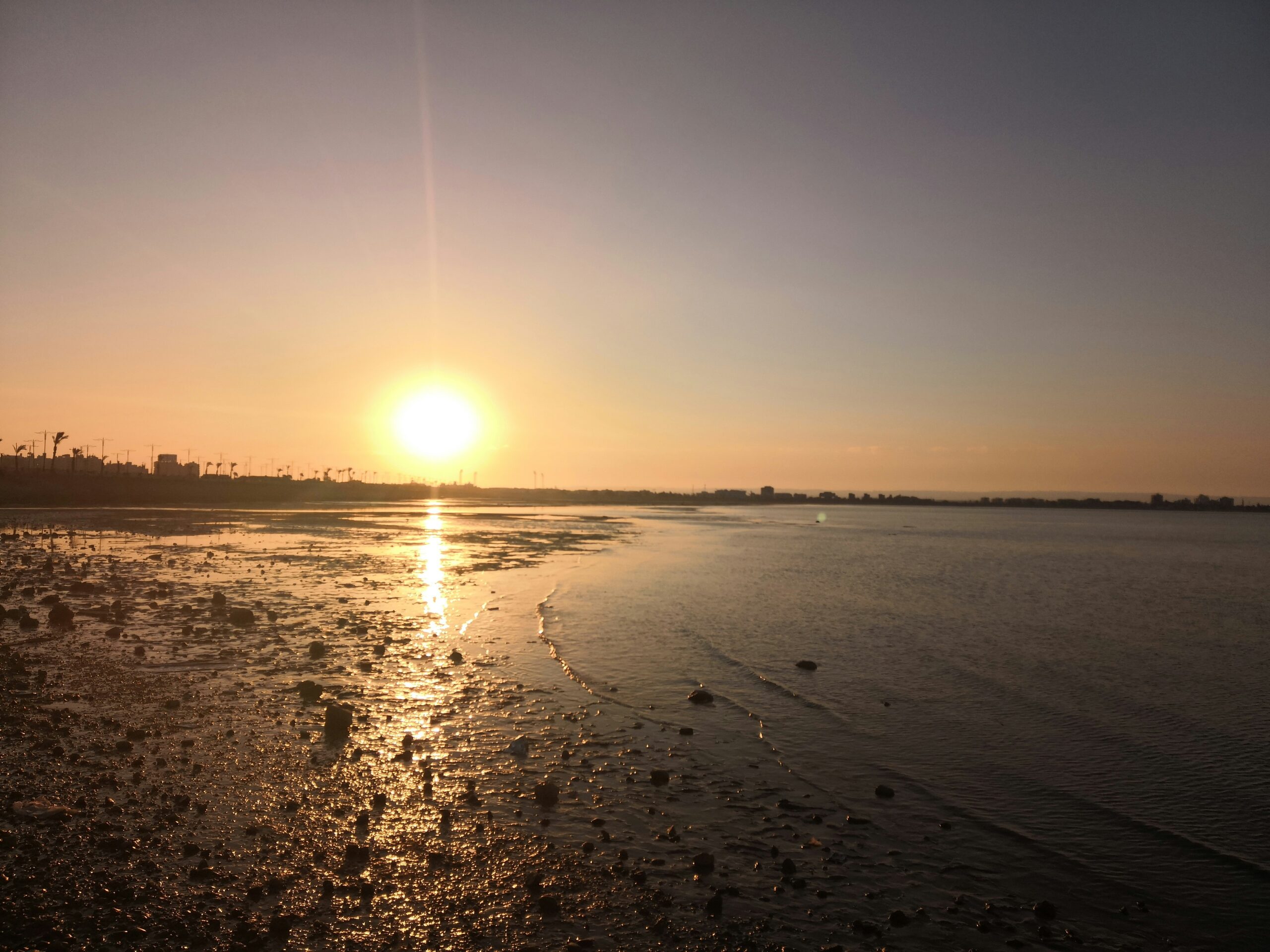 photography of shore during sunset